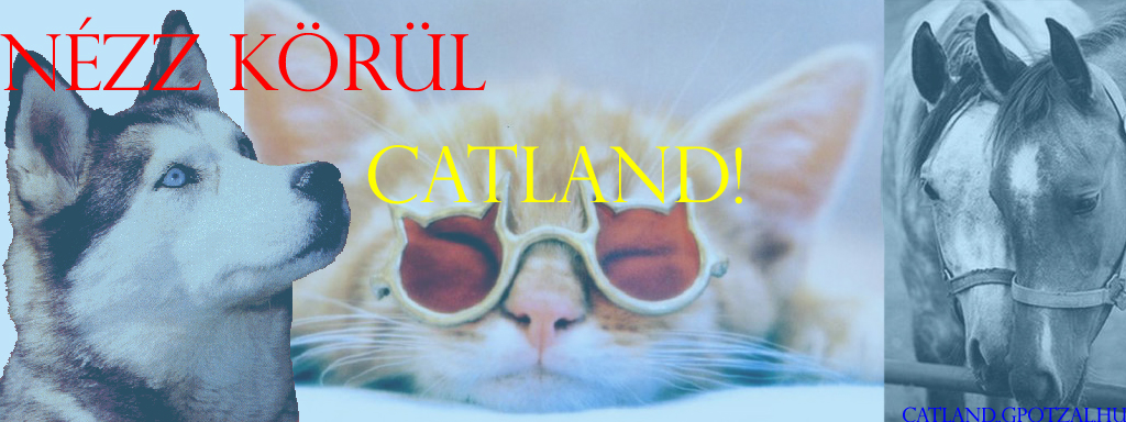 catland